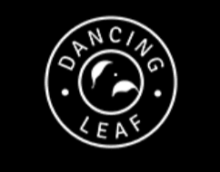 Logo 9