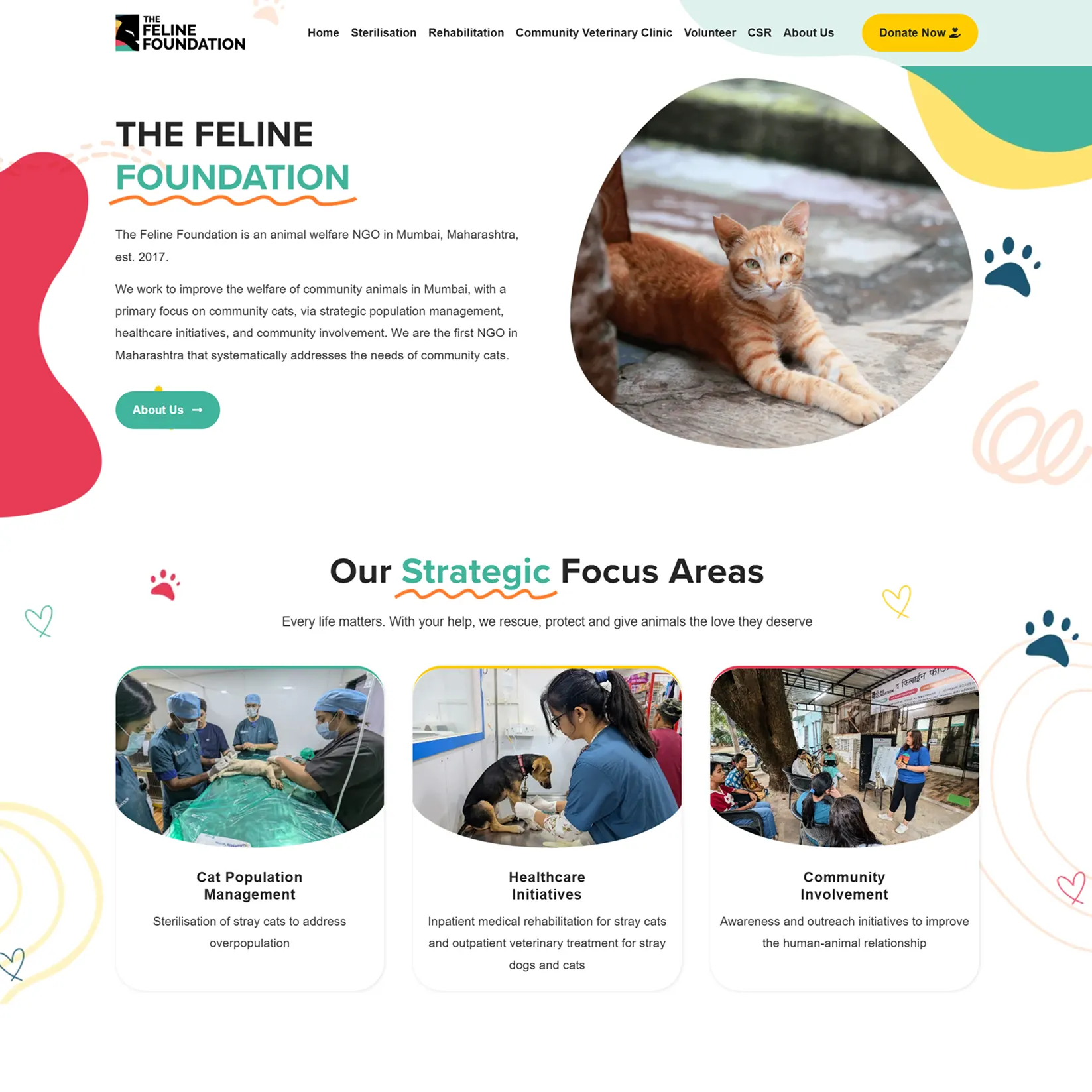 Web development - the aftertaste